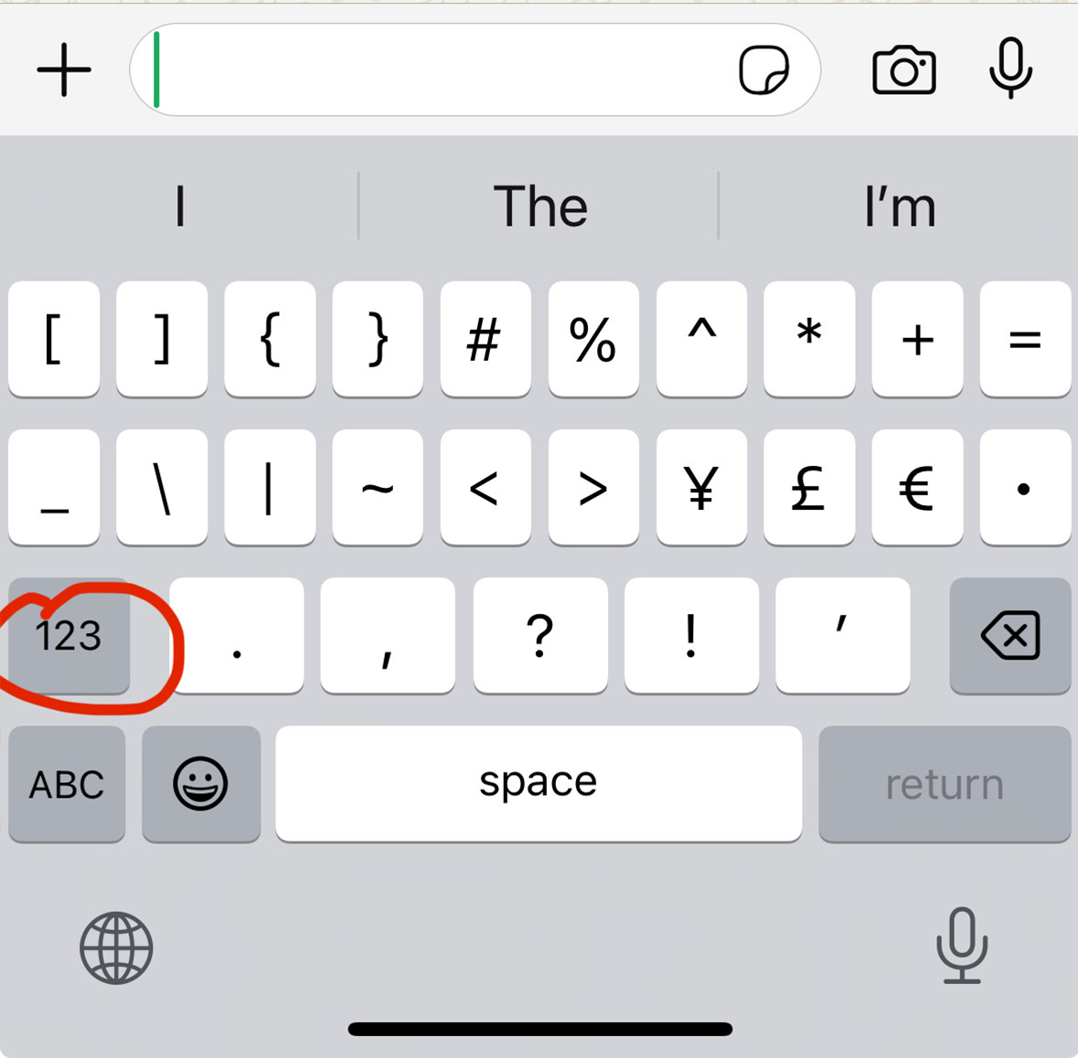 Screenshot of Special Characters iPhone Keyboard