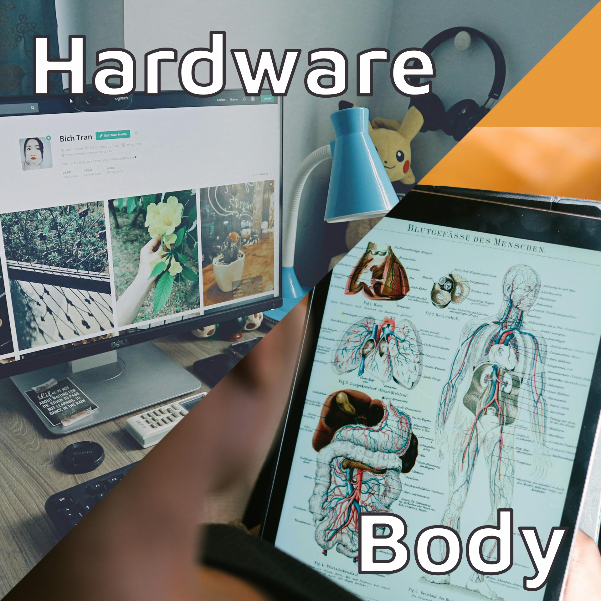 Hardware akin to the body